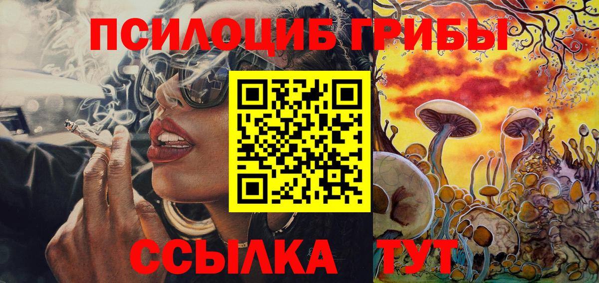 Псилоцибиновые грибы мицелий  Вход с VPN  Псилоцибиновые грибы Cubensis  Прохладный 
