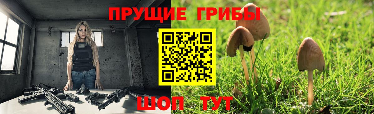 Галлюциногенные грибы ЛСД Прохладный
